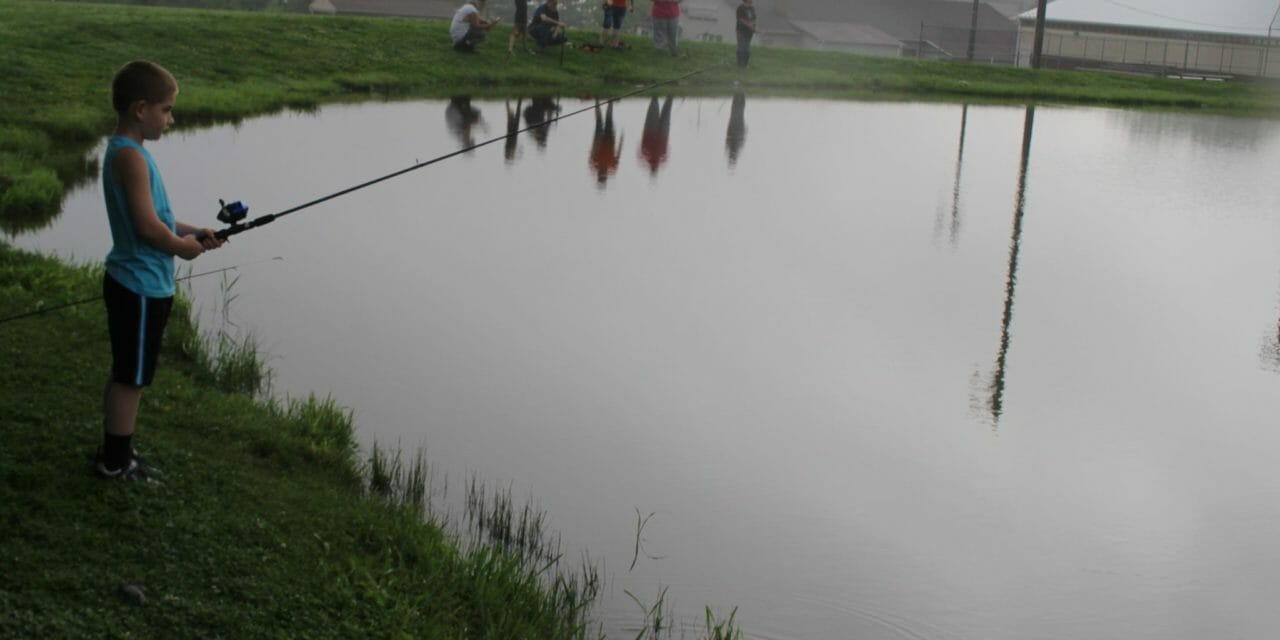 Fish tales
