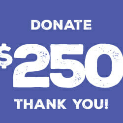 Donate 250
