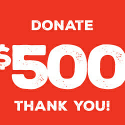 Donate 500